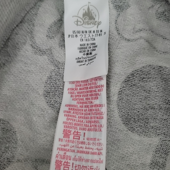 Disneyland hoodie and sweatpants - Picture 10 of 10